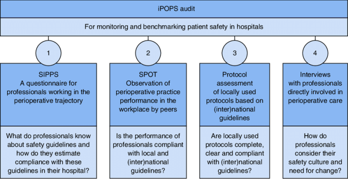 Hospitals organisation bmj audits bmjopen effectiveness govern